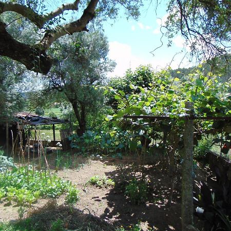 Casa Rebelo Guest House Cossourado  Exterior photo