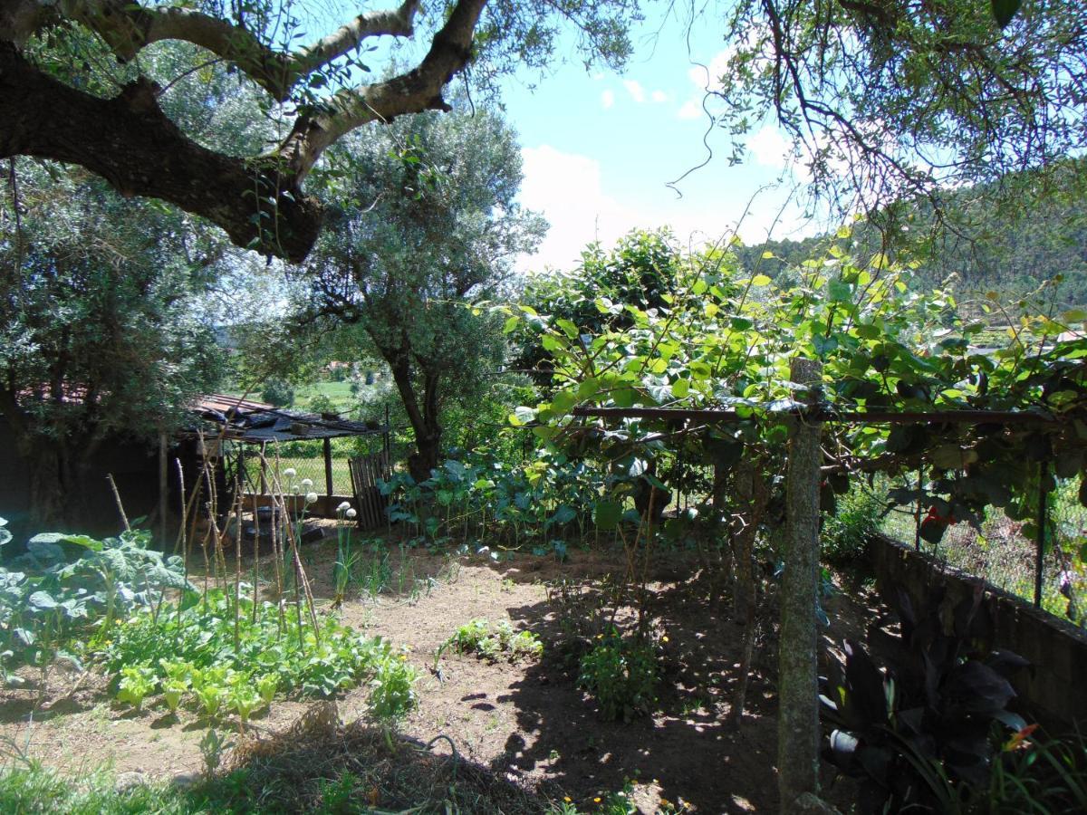 Casa Rebelo Guest House Cossourado  Exterior photo