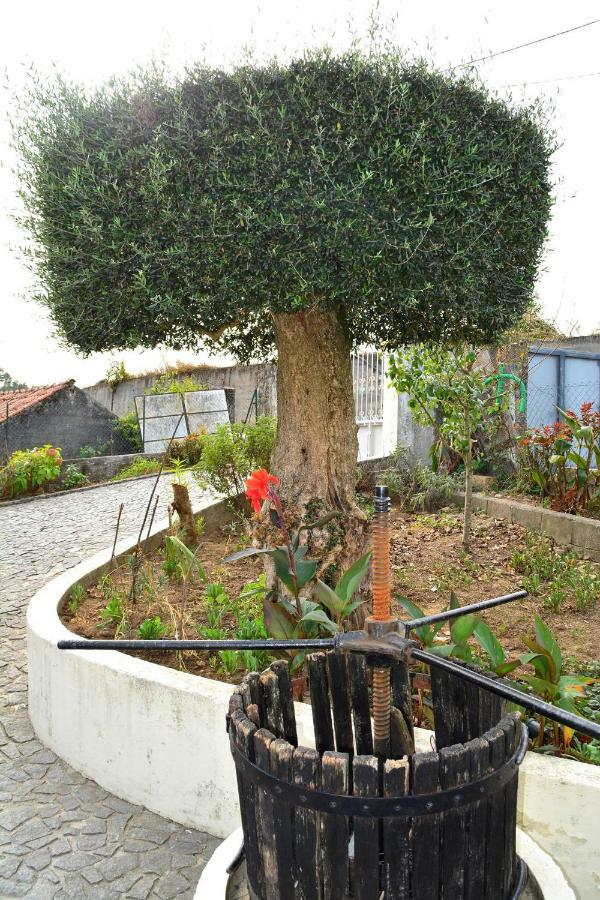 Casa Rebelo Guest House Cossourado  Exterior photo